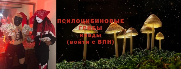 ECSTASY Балабаново